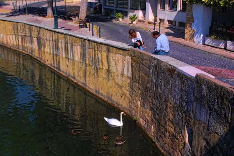Couple watching Nabão River in tomar
