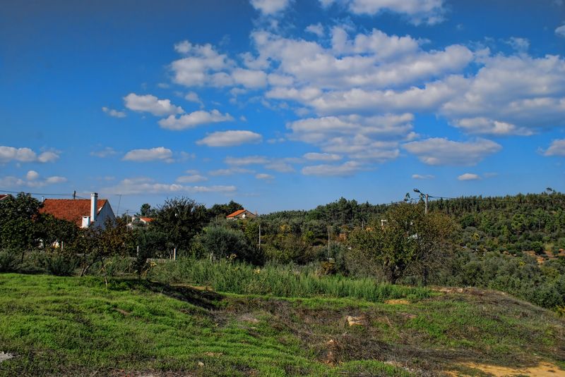 Rural area of Junceira near the City of Tomar in Portugal